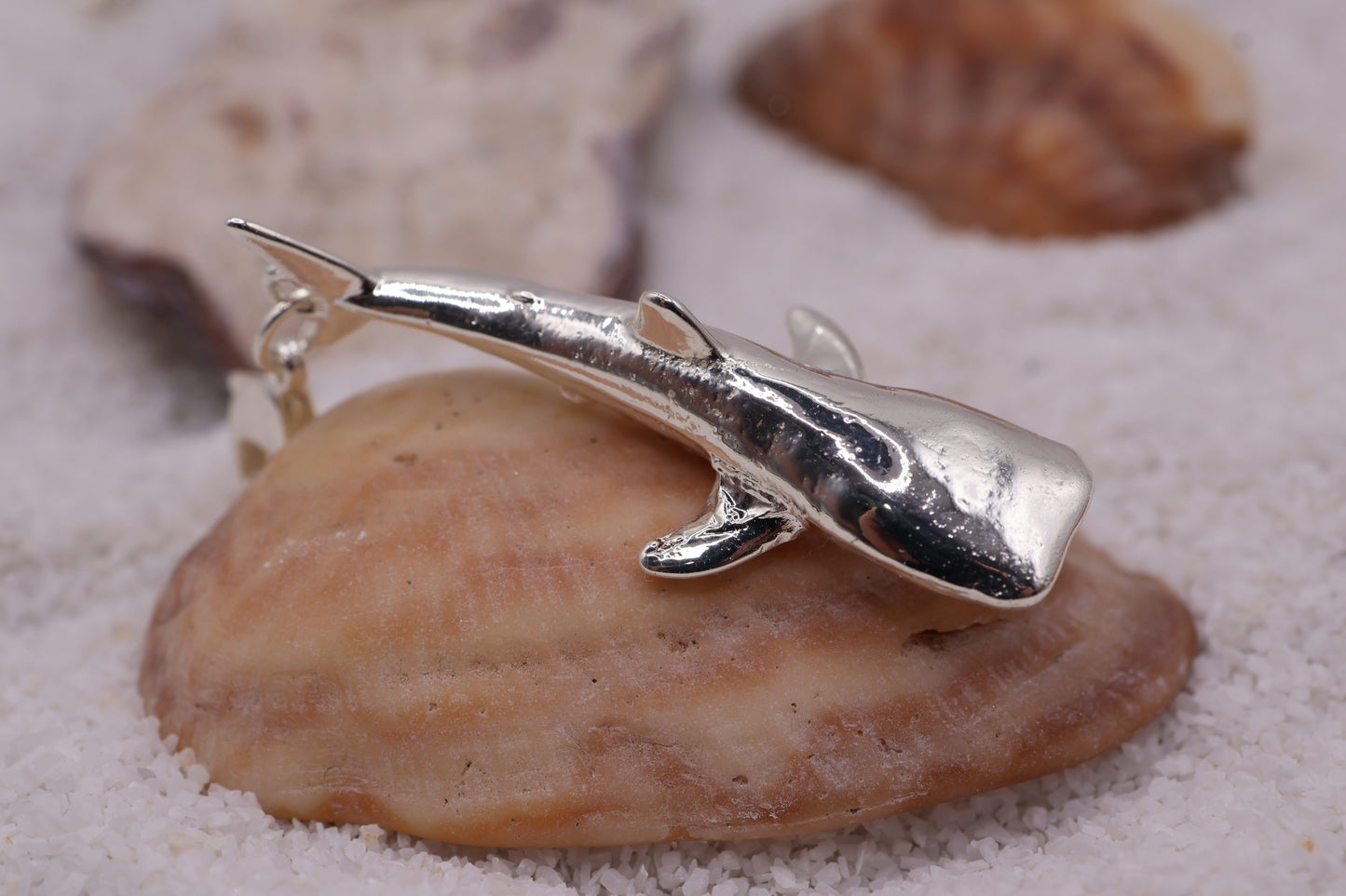 Charm Tiburon Ballena en baño de plata