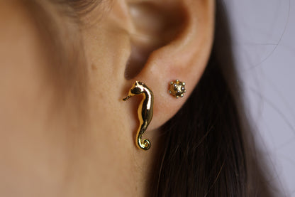 Aretes de caballito de mar bañados en oro 24K