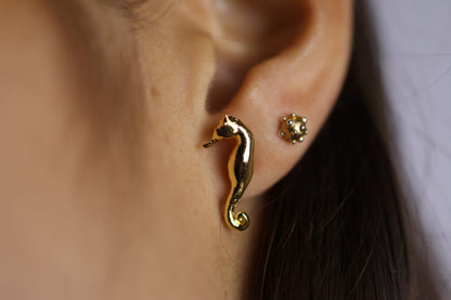 Aretes de caballito de mar bañados en oro 24K