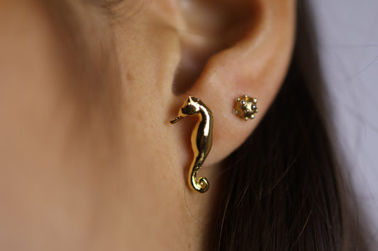 Aretes de caballito de mar bañados en oro 24K