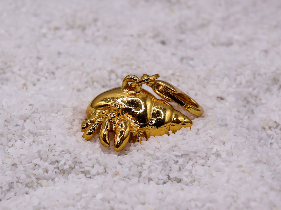 Charm cangrejo ermitaño baño de oro o plata