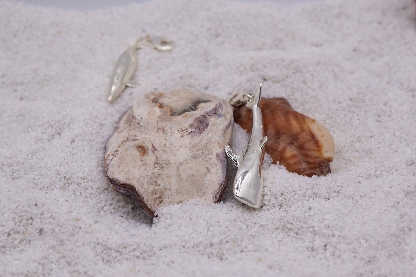 Charm Tiburon Ballena en baño de plata