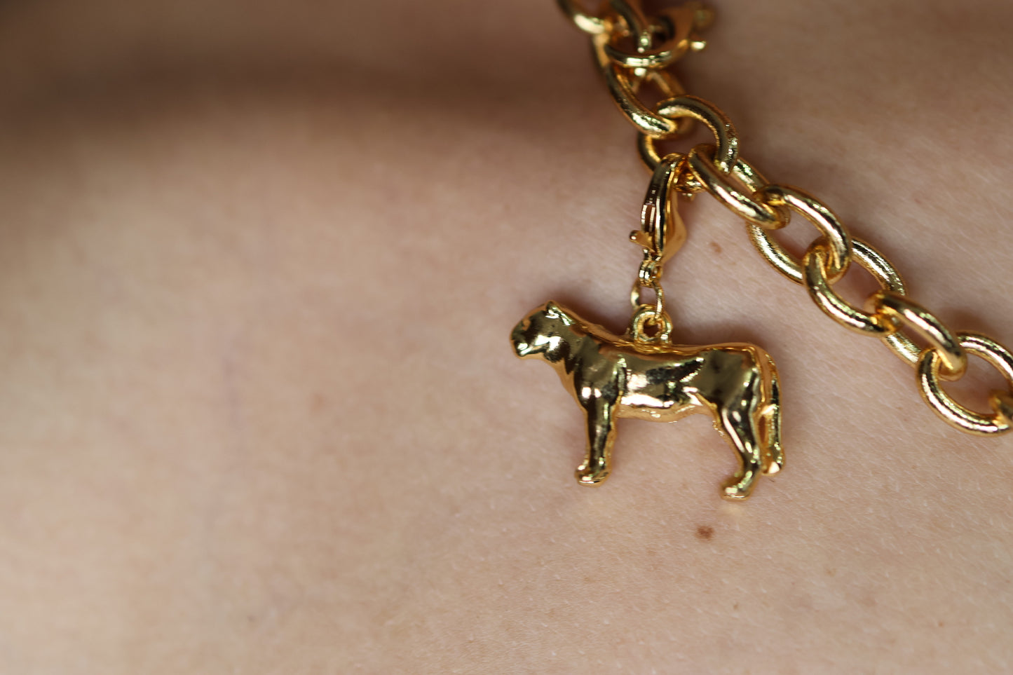 Charm leona baño de oro o plata