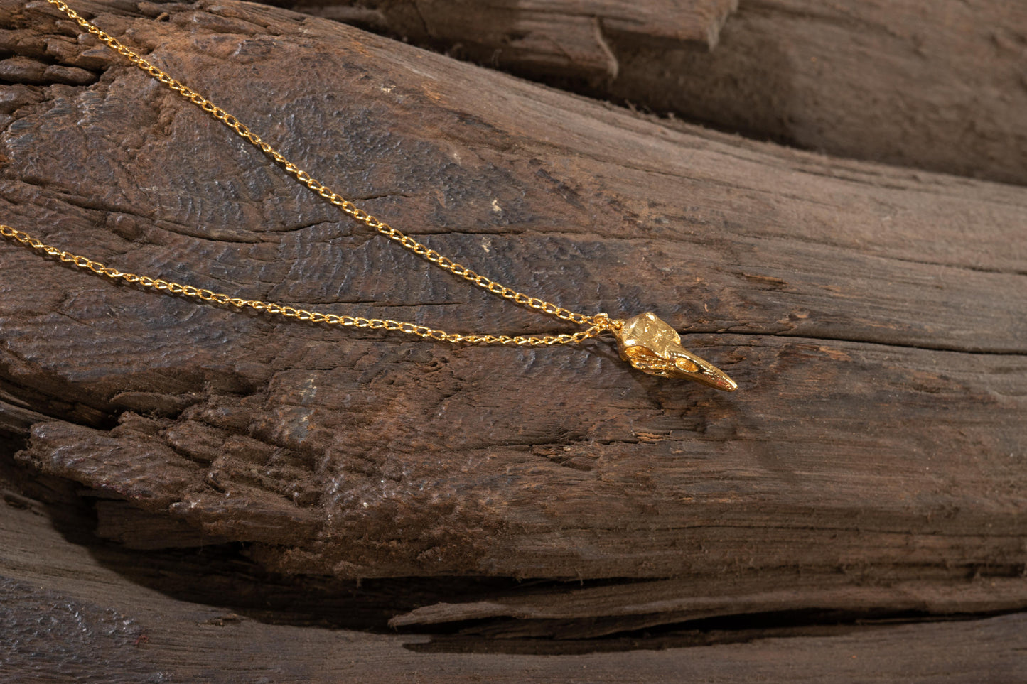 Collar Raven Skull