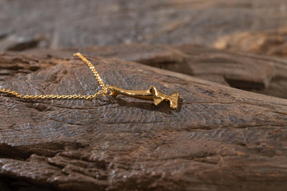 Collar Tiburón Martillo Baby