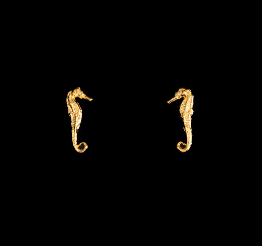 Aretes Caballitos de Mar con baño en oro o plataALMA BRAVIA Joyería Colombia
